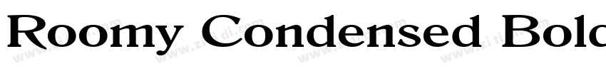 Roomy Condensed Bold字体转换 Roomy Condensed Bold字体转换